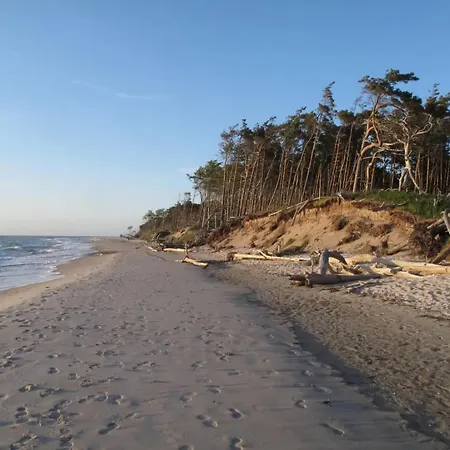 11 - Halbinsel Darss - Ostsee Wieck