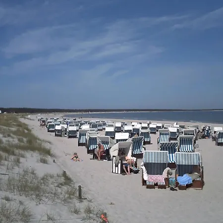 11 - Halbinsel Darss - Ostsee