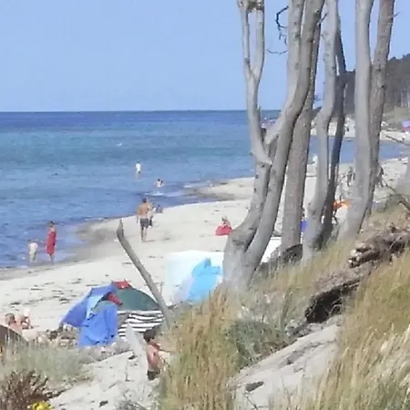 11 - Halbinsel Darss - Ostsee Apartment Wieck