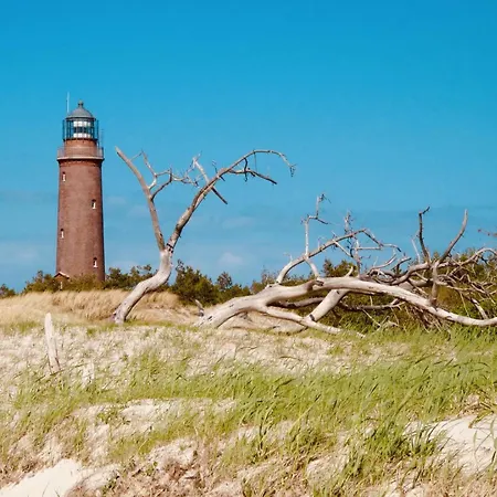 11 - Halbinsel Darss - Ostsee *