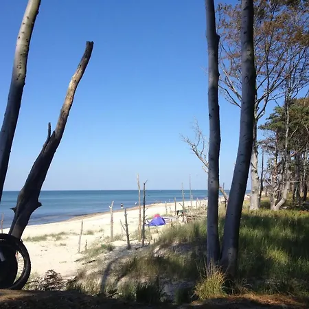 Apartment 11 - Halbinsel Darss - Ostsee
