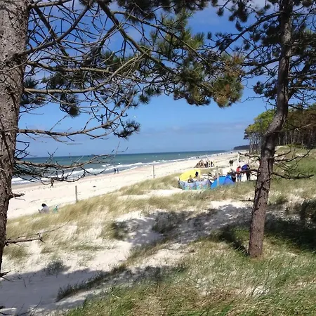11 - Halbinsel Darss - Ostsee Wieck