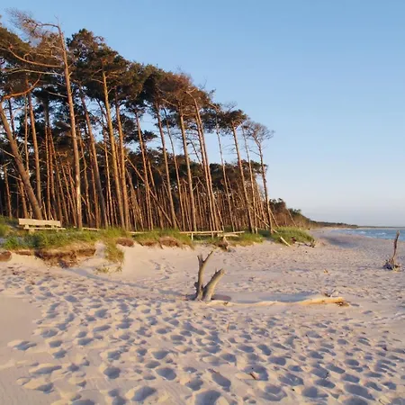 Appartement 11 - Halbinsel Darss - Ostsee *