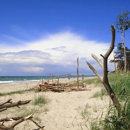 11 - Halbinsel Darss - Ostsee Wieck